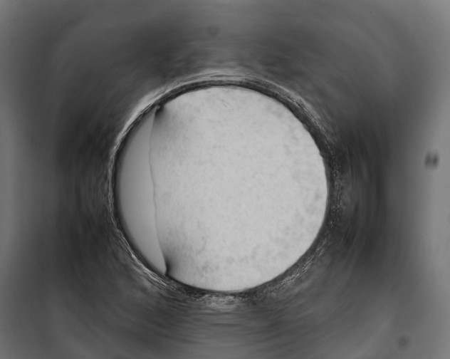 X0000099981168200806201419