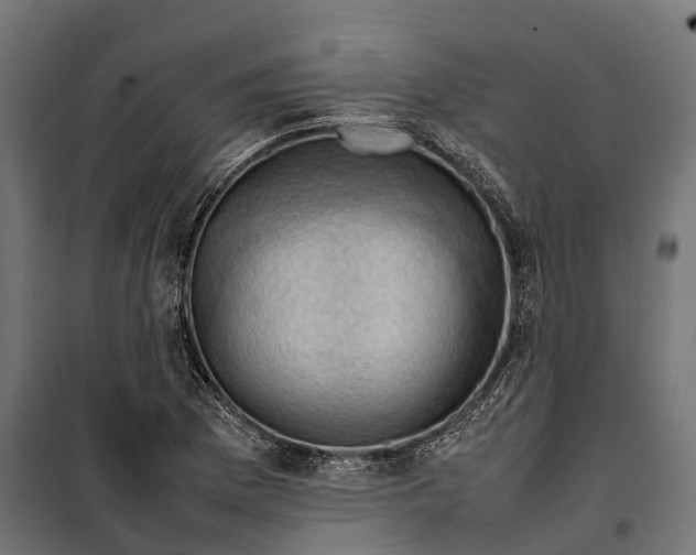 X0000099981169200806201419