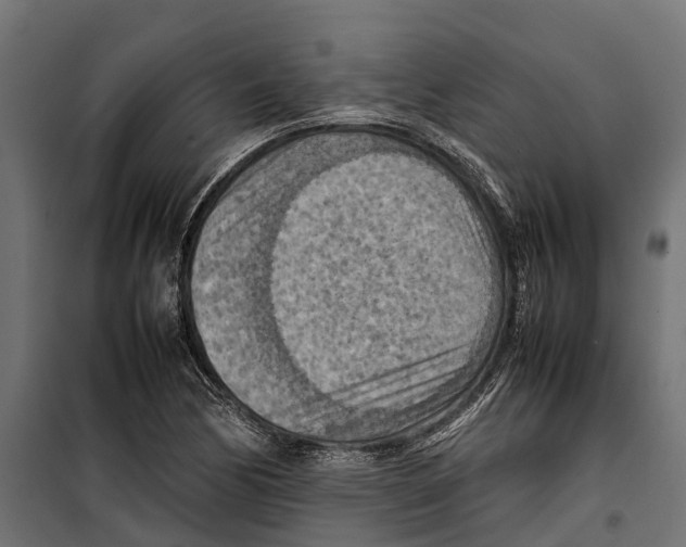 X0000099981170200806201419