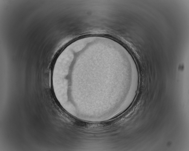 X0000099981171200806201419