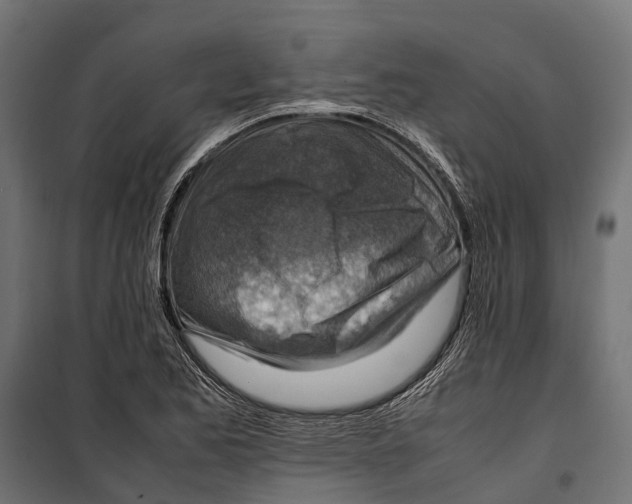 X0000099981173200806201419