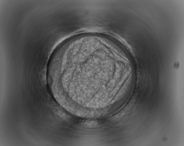 X0000099981174200806201419