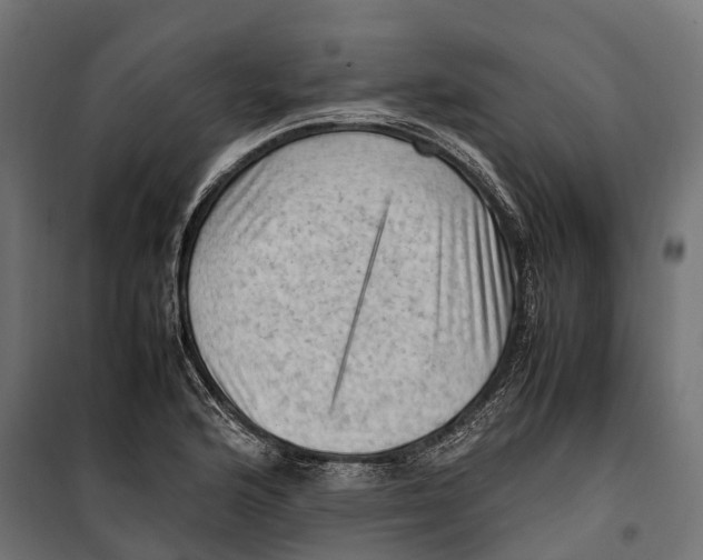 X0000099981176200806201418