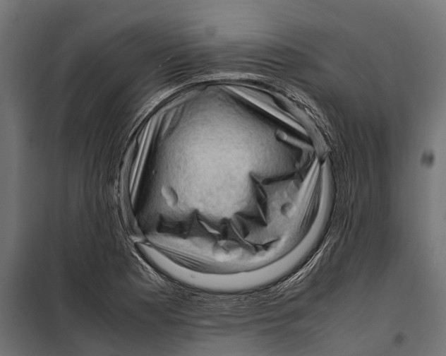 X0000099981177200806201418