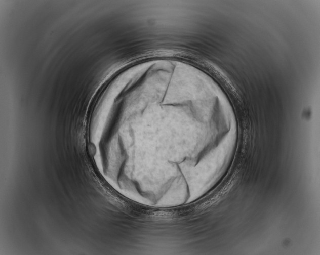 X0000099981178200806201418