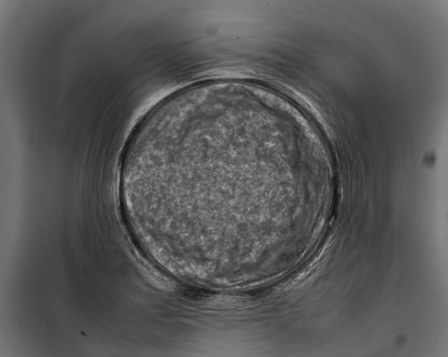 X0000099981179200806201418