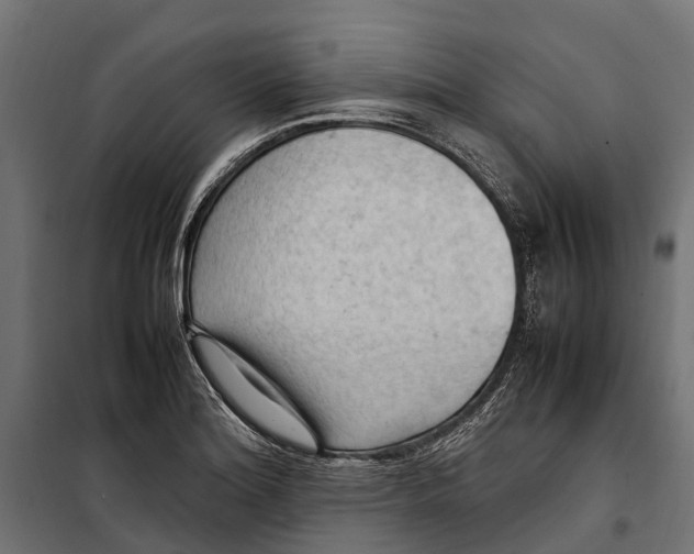 X0000099981180200806201418