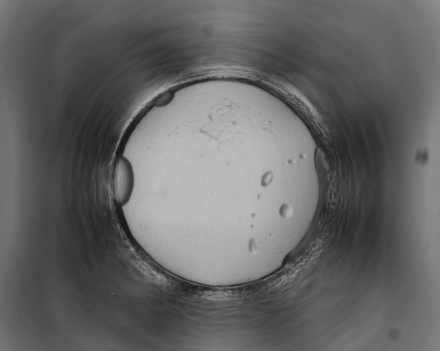 X0000099981182200806201418