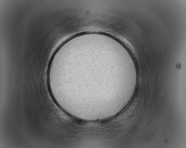 X0000099981183200806201418