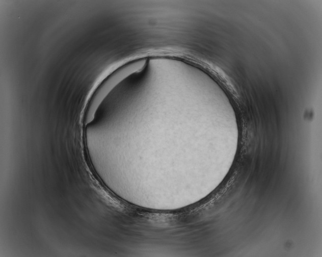 X0000099981184200806201418