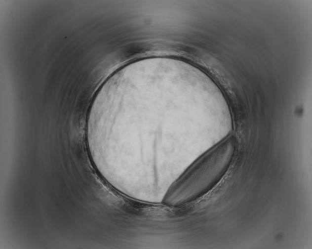 X0000099981185200806201418