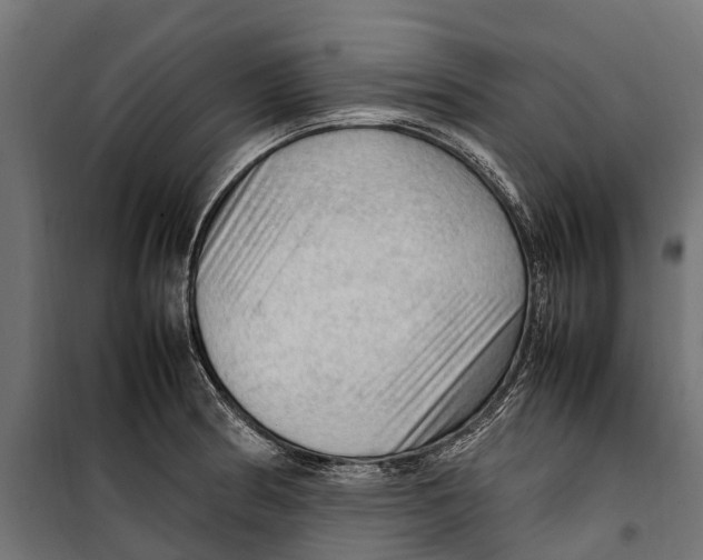 X0000099981186200806201418