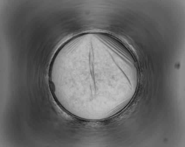 X0000099981189200806201418