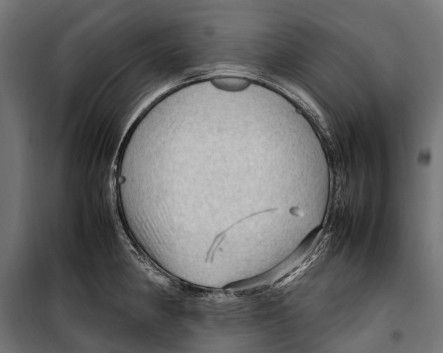 X0000099981190200806201418