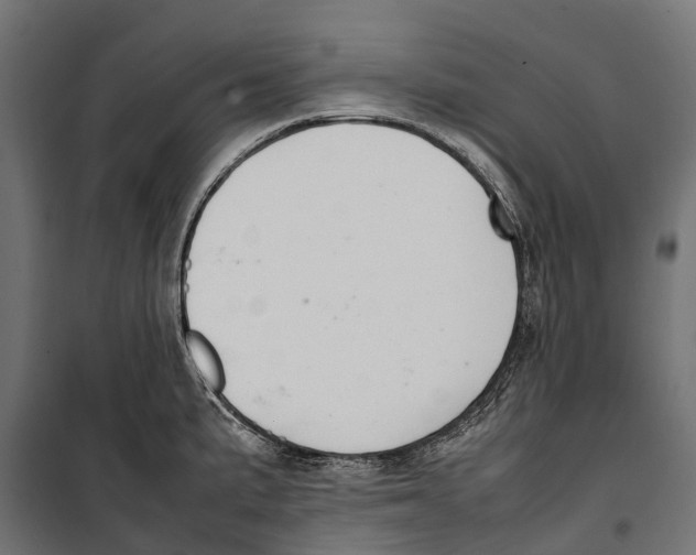 X0000099981191200806201418