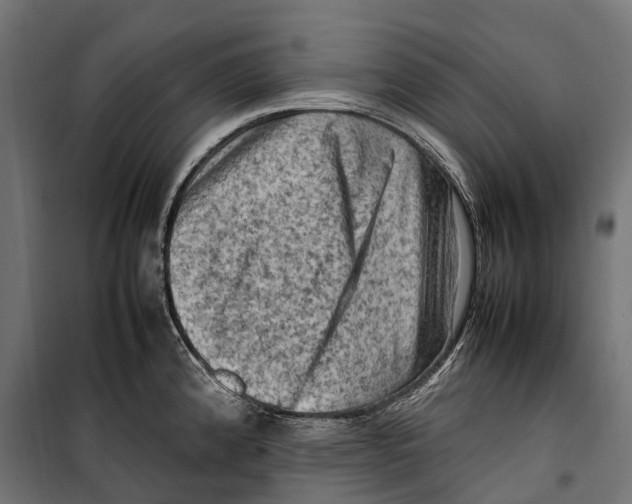 X0000099981192200806201418