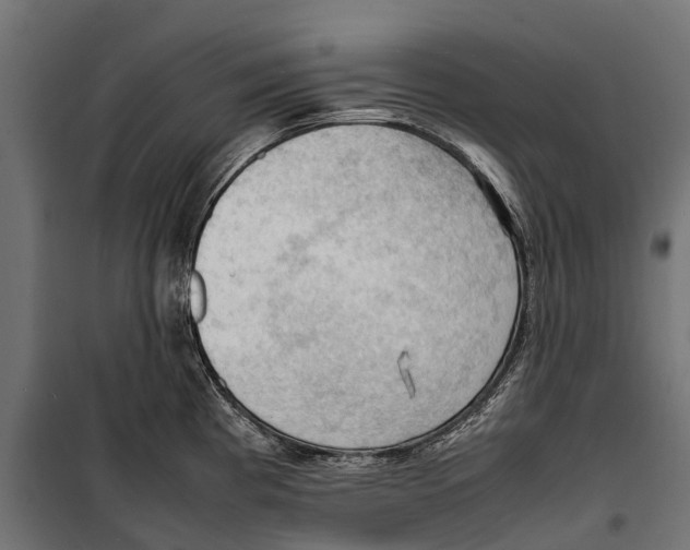 X0000099981193200806201418