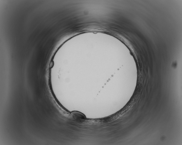 X0000099981195200806201418