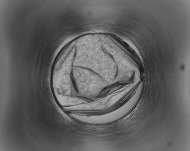 X0000099981197200806201418