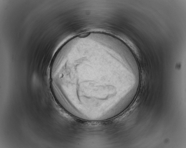 X0000099981198200806201418