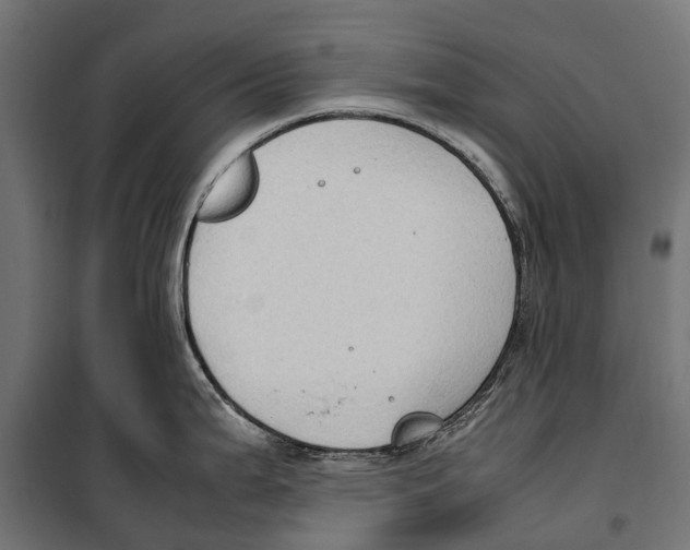 X0000099981199200806201418