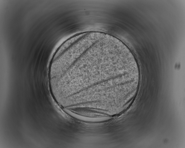 X0000099981200200806201418