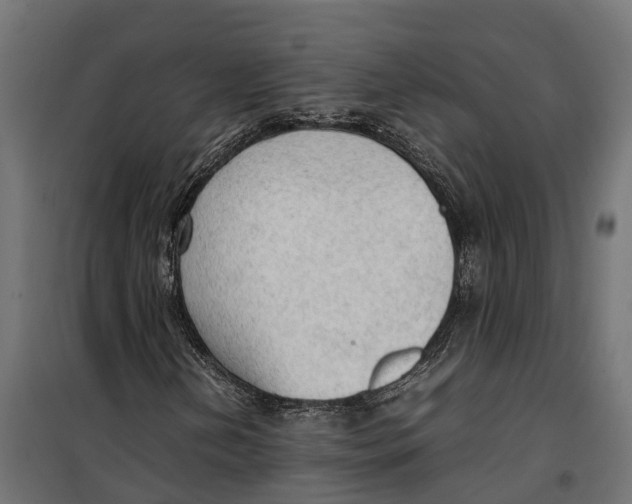 X0000099981202200806201417