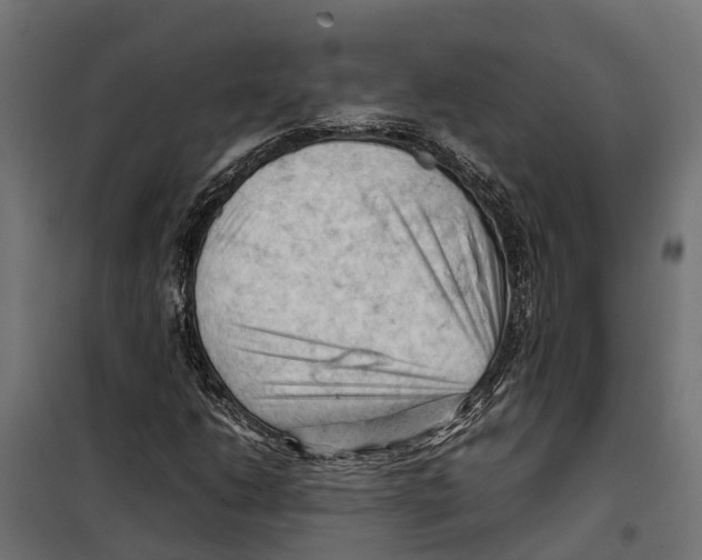 X0000099981206200806201417