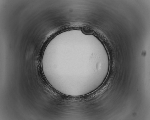 X0000099981210200806201418