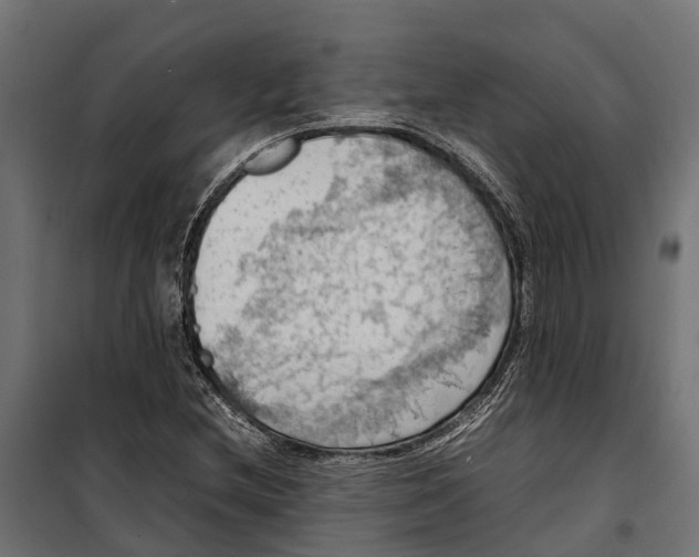 X0000099981212200806201418