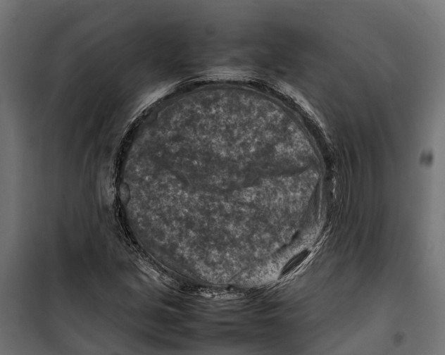 X0000099981213200806201418