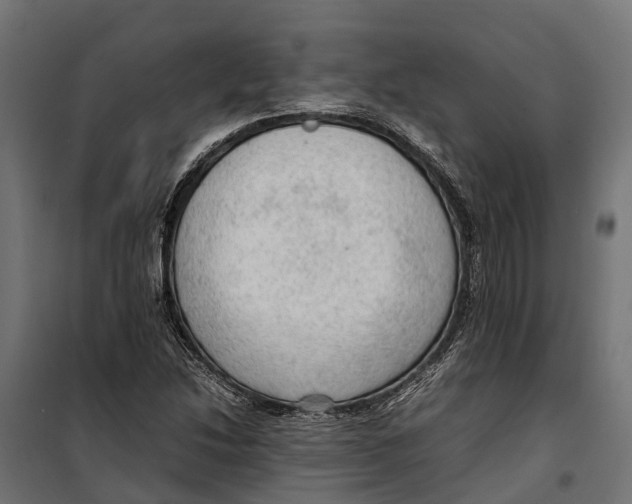 X0000099981214200806201418