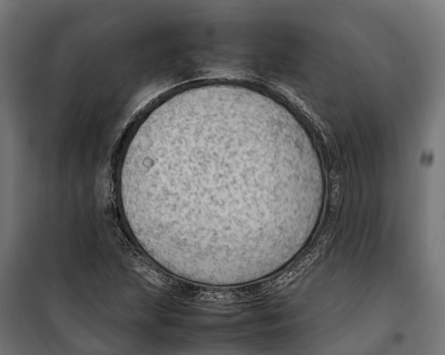 X0000099981215200806201418