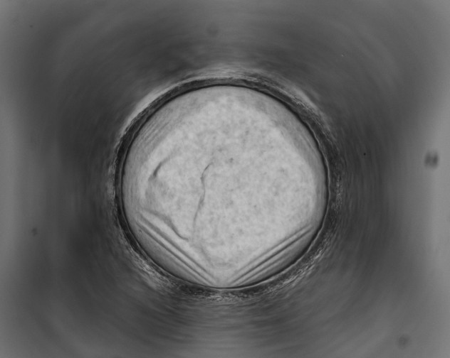 X0000099981216200806201418