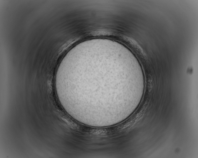 X0000099981217200806201418