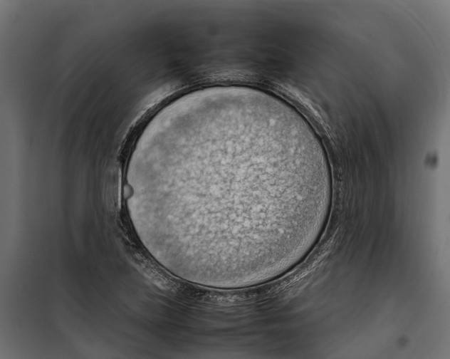 X0000099981219200806201418