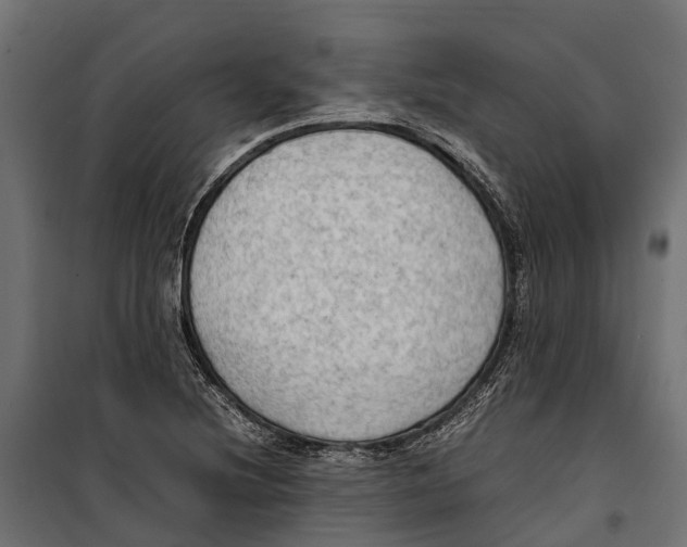 X0000099981220200806201418