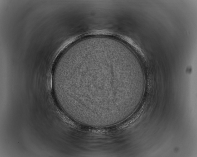 X0000099981221200806201418