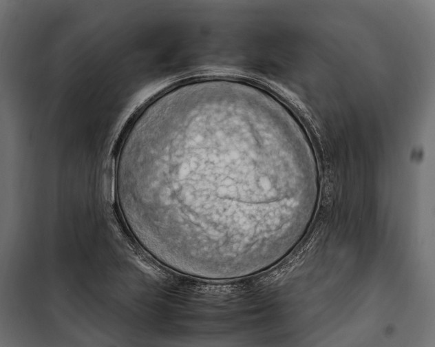 X0000099981223200806201418