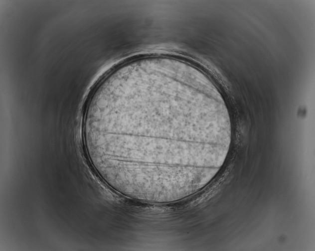 X0000099981224200806201418