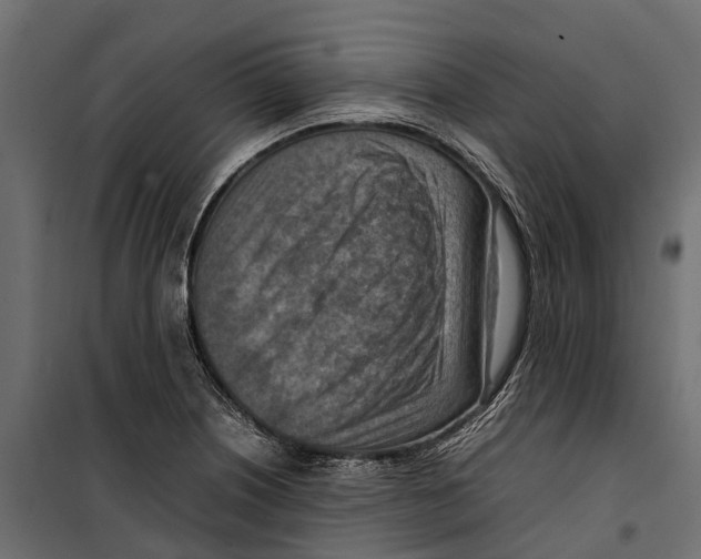 X0000099981226200806201418