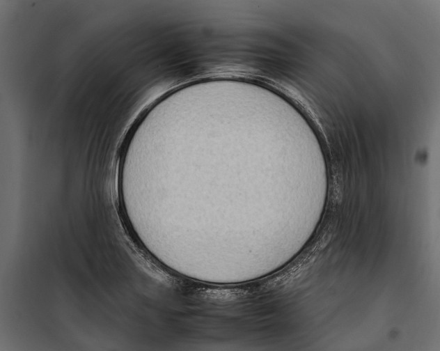 X0000099981227200806201418