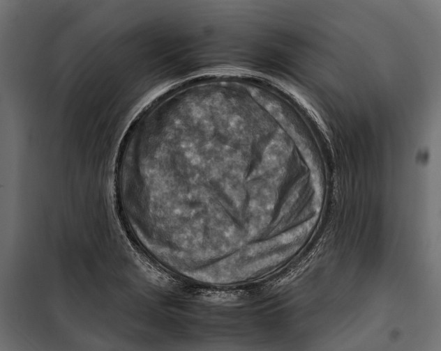 X0000099981229200806201418