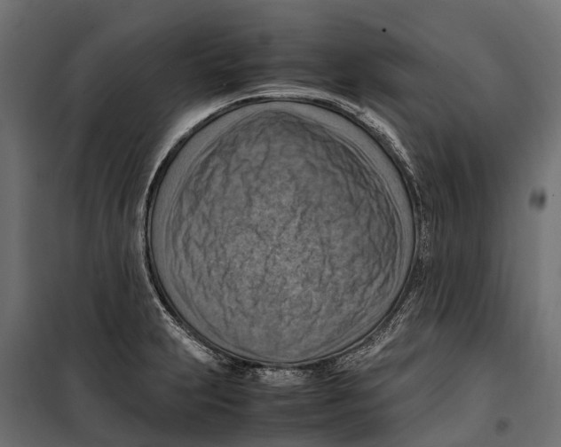 X0000099981231200806201418