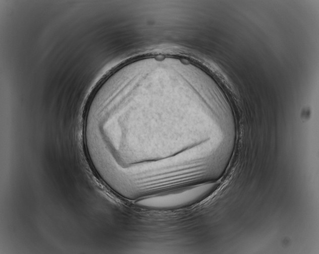 X0000099981232200806201418