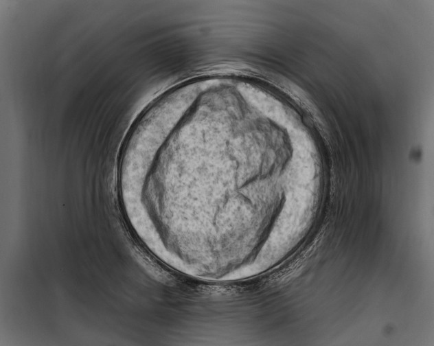 X0000099981234200806201418