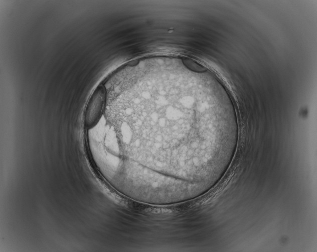 X0000099981235200806201418