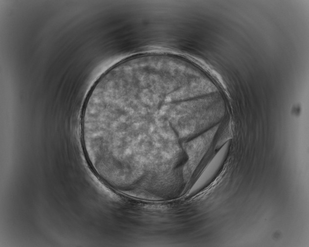 X0000099981239200806201418