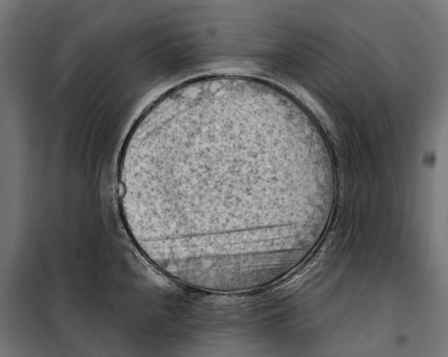 X0000099981240200806201418