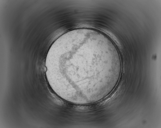 X0000099981241200806201418